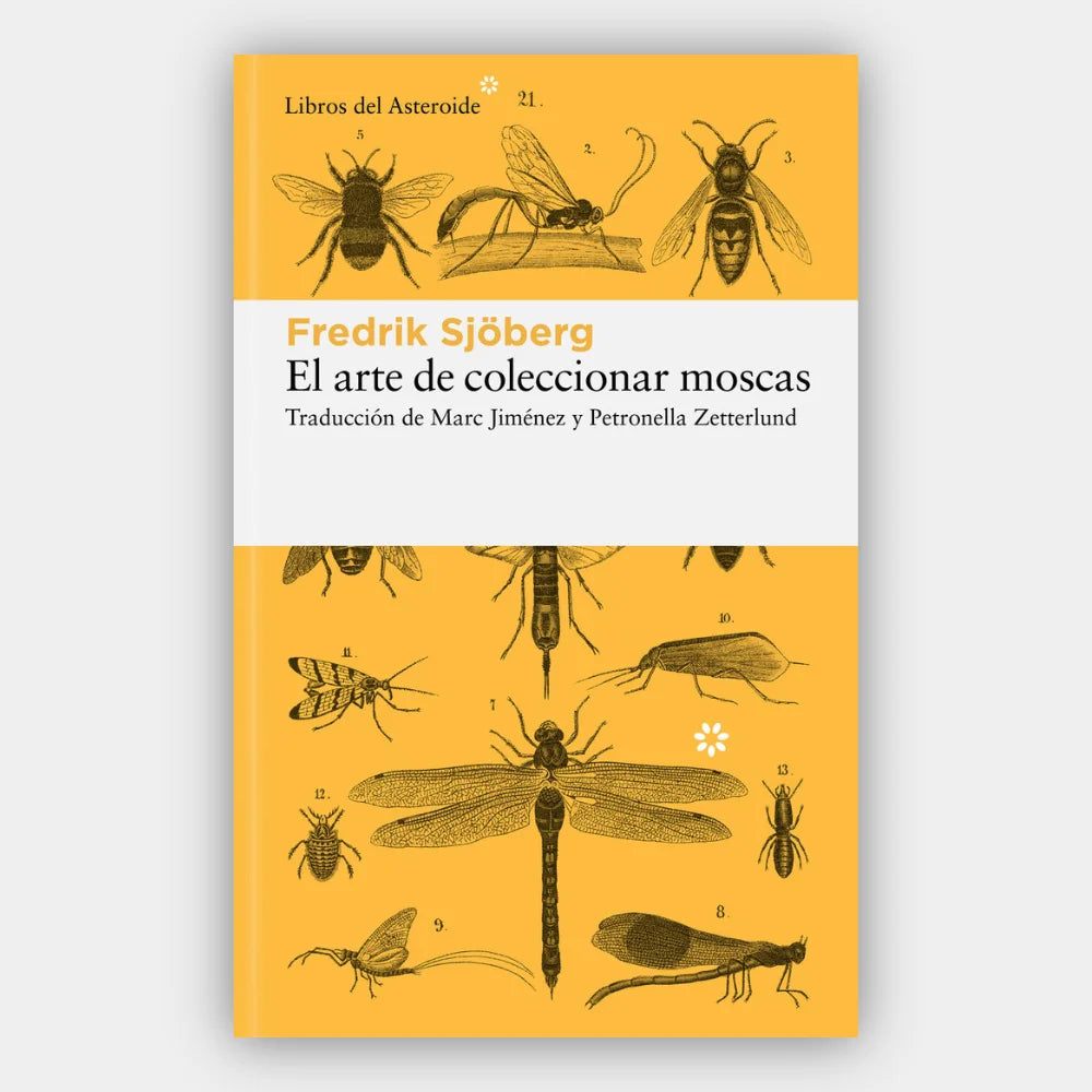 El arte de coleccionar moscas (+16 años)