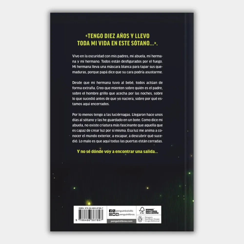 Das Glühen der Glühwürmchen (Leuchtende Sonderausgabe im Dunkeln)