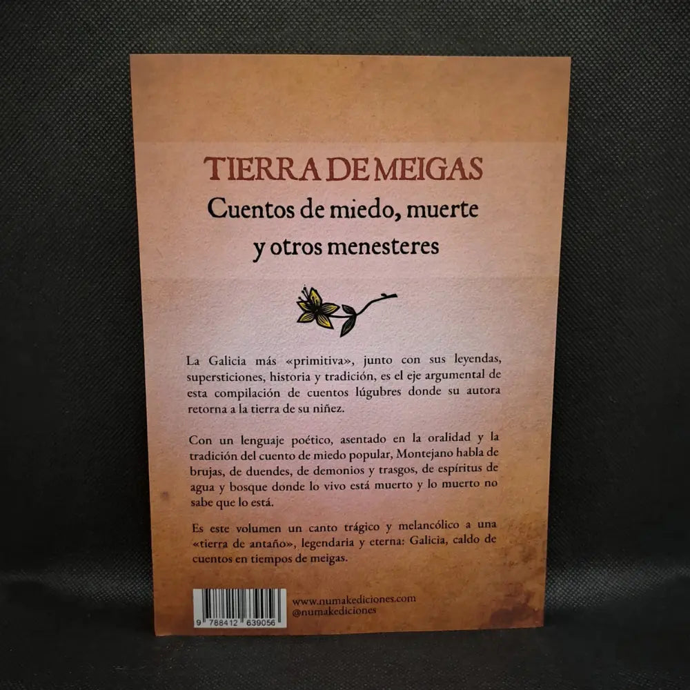 Tierra de Meigas: Cuentos de miedo, muerte y otros menesteres (Ilustrado)