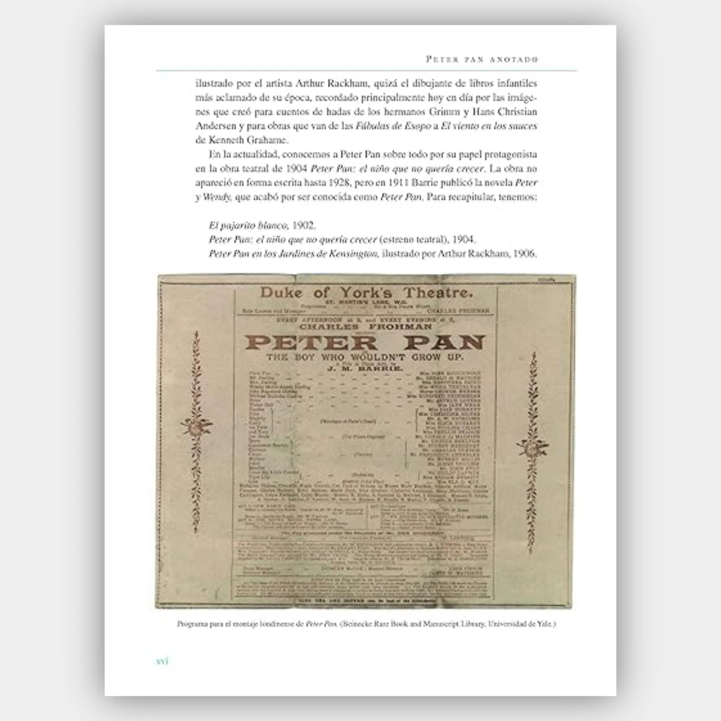 Peter Pan (Ed. anotada e ilustrada) (+10 años)
