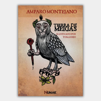 Tierra de Meigas: Cuentos de miedo, muerte y otros menesteres (Ilustrado)