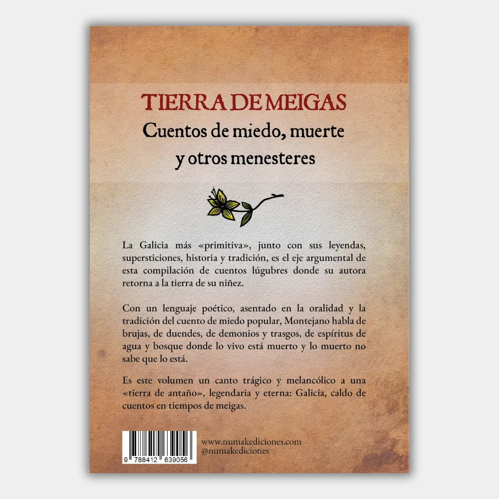 Tierra de Meigas: Cuentos de miedo, muerte y otros menesteres (Ilustrado)