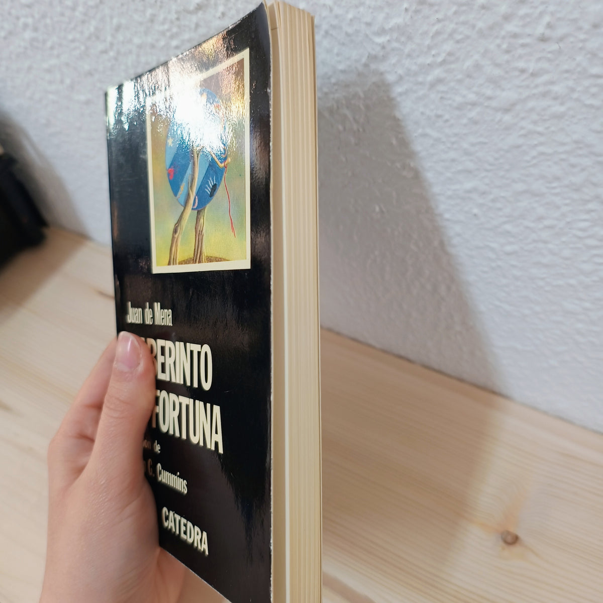 Laberinto de fortuna 2ª mano