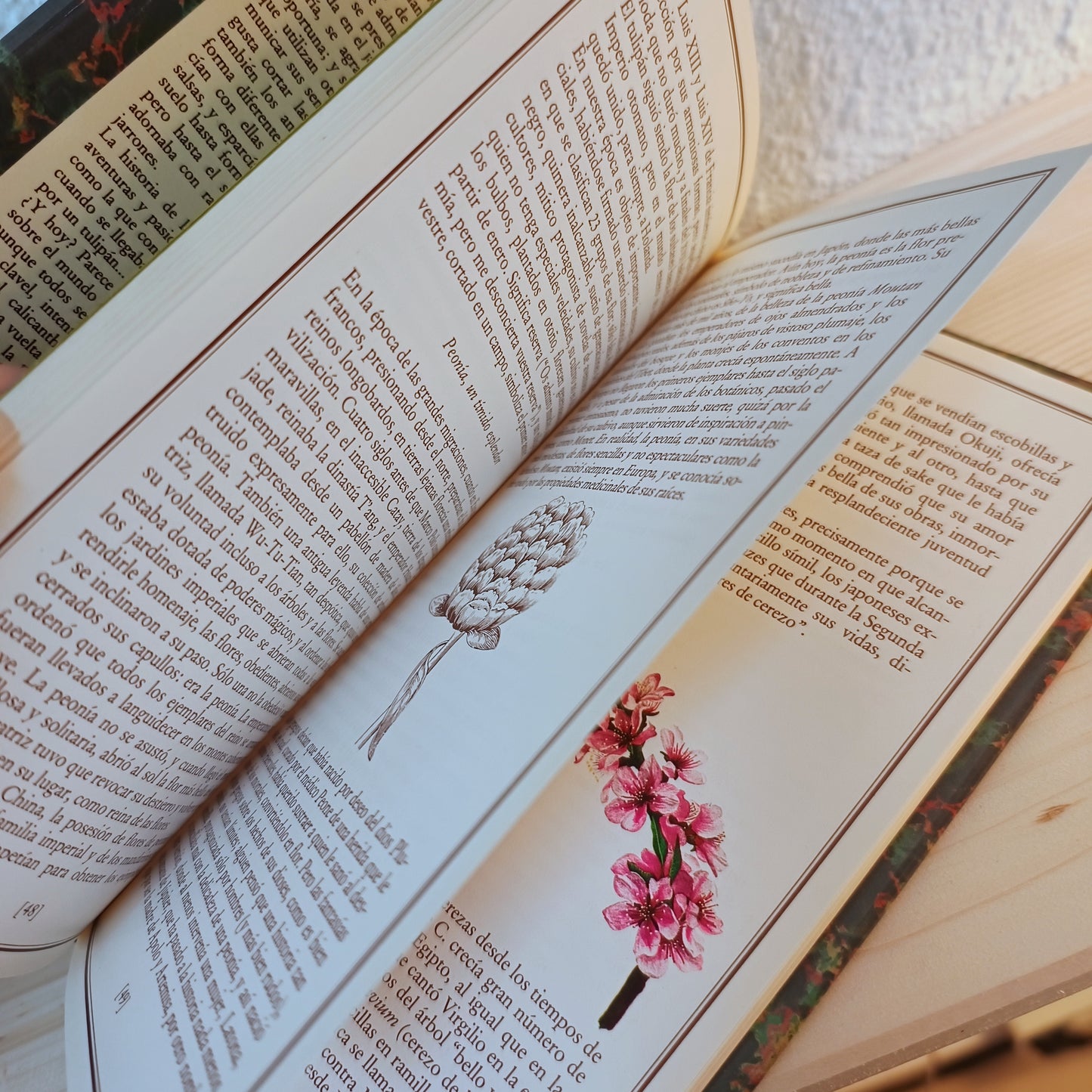 A flower for you (illustrated) 2nd hand
