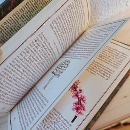 A flower for you (illustrated) 2nd hand