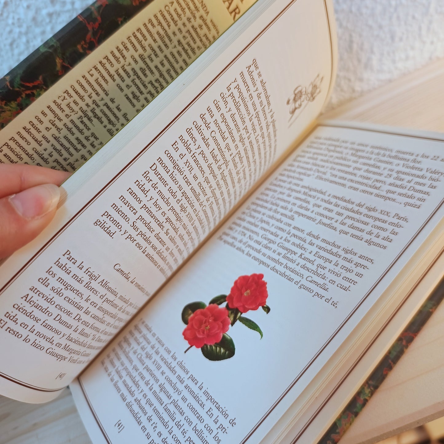 A flower for you (illustrated) 2nd hand