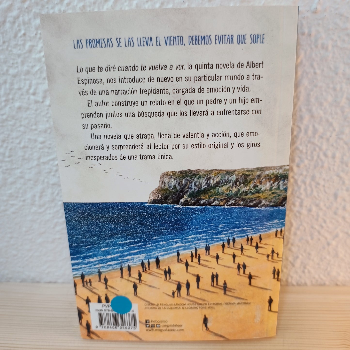 Lo que te diré cuando te vuelva a ver 2ª mano