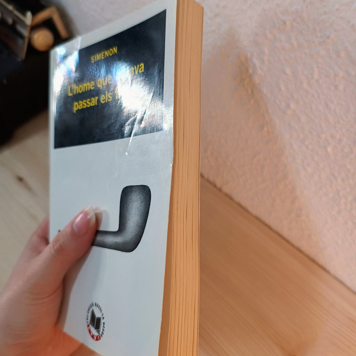 L'home que mirava passar els trens (Libro en Francés) 2ª mano