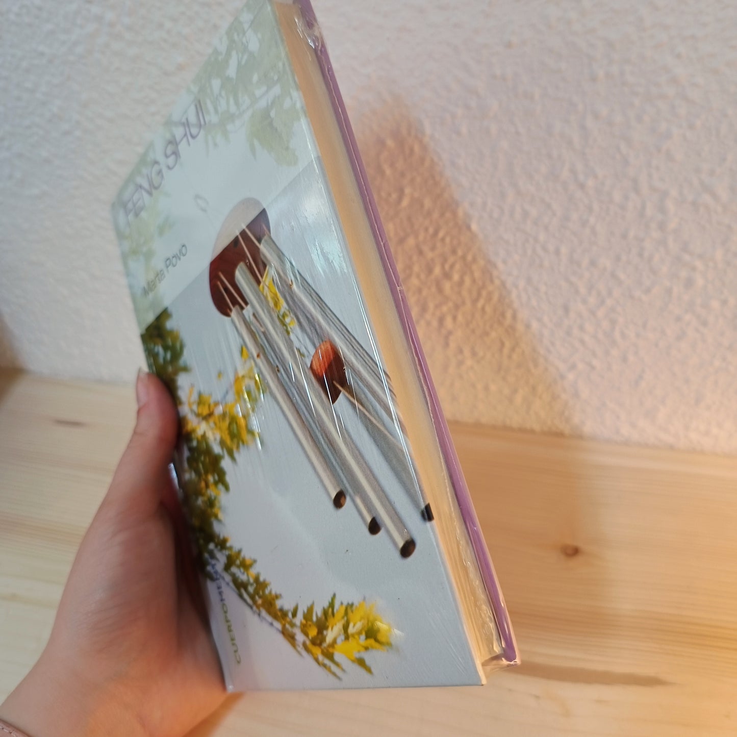 Feng Shui 2ª mano