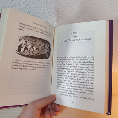 El príncipe Caspian (Las crónicas de Narnia 4) 2ª mano